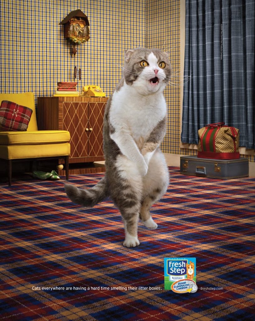 Funny advertisement for Fresh Step cat litter featuring a cat holding in pee retouched by commissionable artists, Realfake.